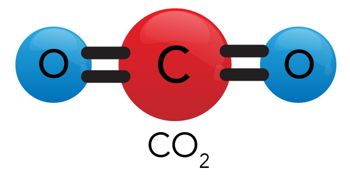 Shown is a colour illustration of a carbon dioxide molecule.