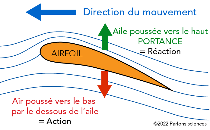 Un Sport Planant Parlons Sciences un-sport-planant-parlons-sciences