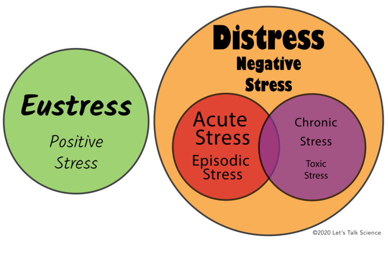 A pair of coloured circles that distinguish eustress from distress.