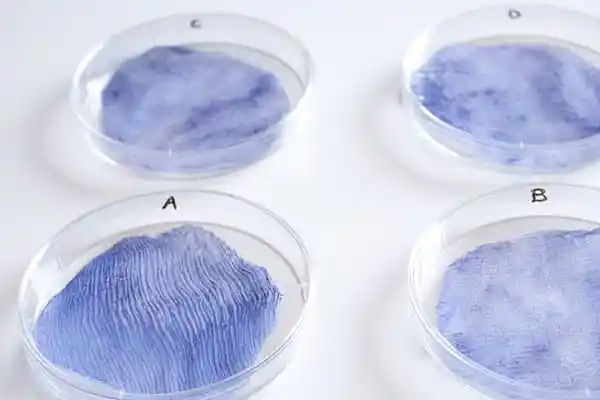 Shown is a colour photograph of four petri dishes, each with a dyed sample of fabric