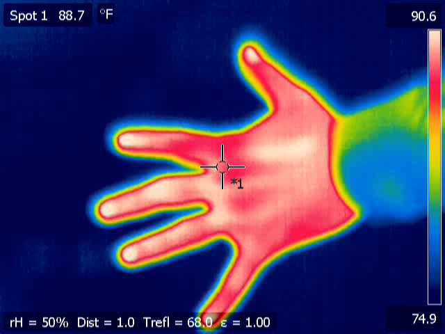 Shown is a colour image showing heat from a person’s hand.